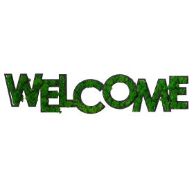 WELCOME Letter Art Moss Wall Decorations