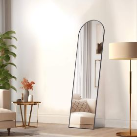 Floor Standing Mirror, Wall Mirror with Stand Aluminum Alloy Thin Frame,21''*64'',Black